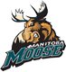 Manitoba Moose